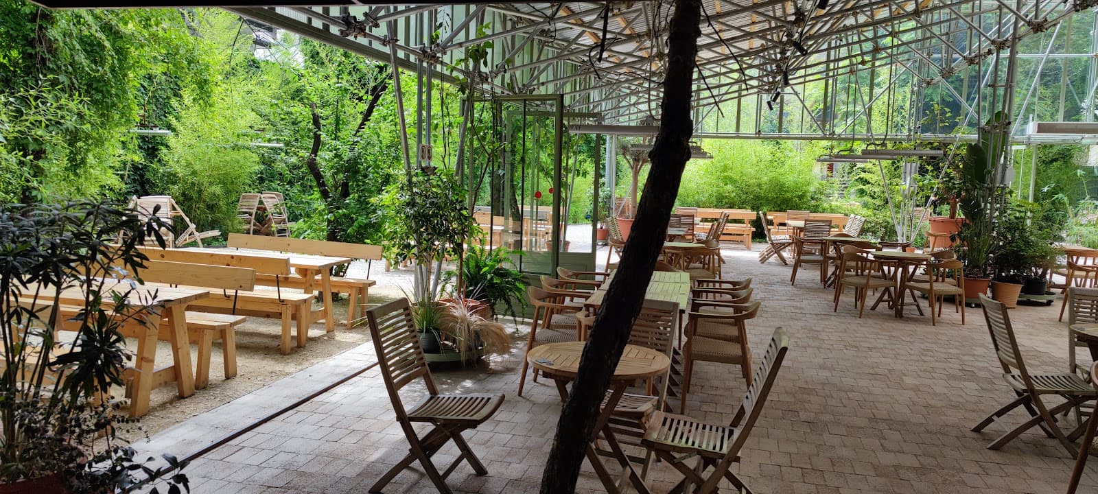 Terasa acoperită printre plante